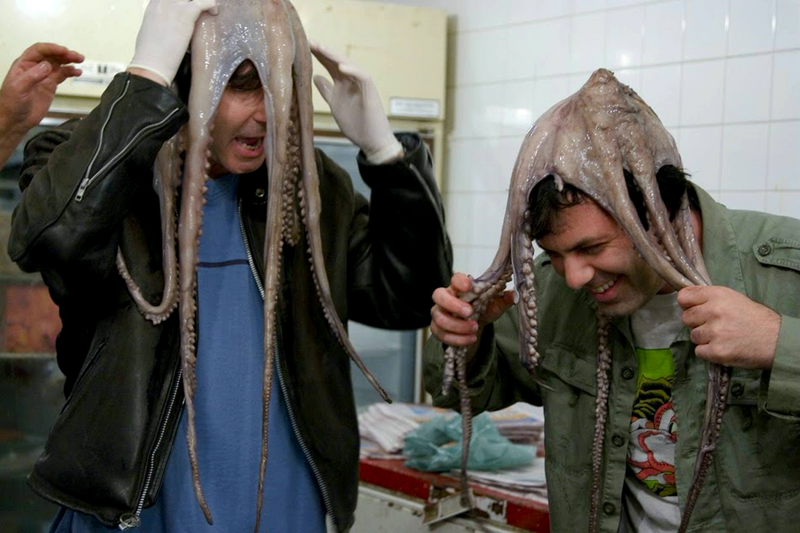 Octopus